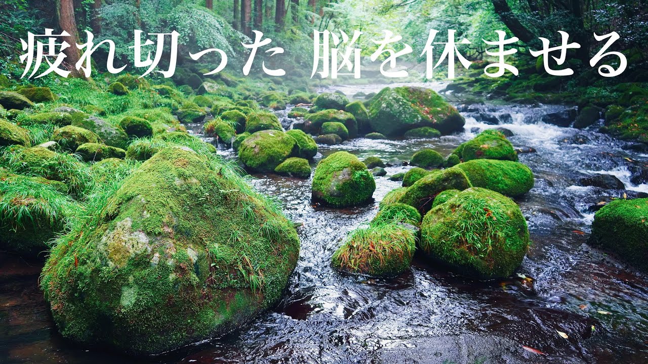 自律神経を整える水の音、高い癒やしの自然環境音・心身を安らぎモードに導く・脳や全身のストレスを軽減
