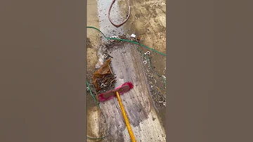 تنظيف البيت الجديد Cleaning تنظيف المنزل تنظيف 