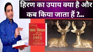 धातु से बने हिरन का उपाय _Metal Deer Remedy of Lal Kitab