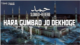 Hara Gumbad Jo Dekhoge Zamana Bhool Jaoge || Slowed+Reverb || Ghulam Mustafa Qadri || ISLAMIC SOUNDS