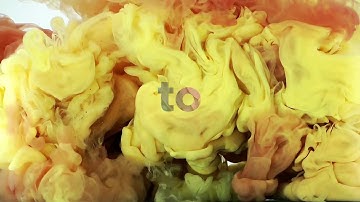 Newspaper WordPress Theme - Discover What