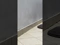 O melhor é sempre para nos mesmos!! #motivacional #motivação #prosperidade #conquista #shortsviral