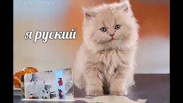 NFS World Loop 5:05,94