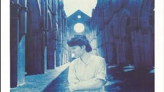 David Sylvian - The Healing Place [Stretched]