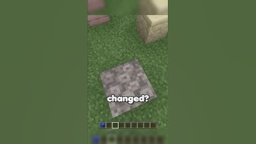 Bro Placed TNT 💀 #minecraft #shorts #minecraftshorts