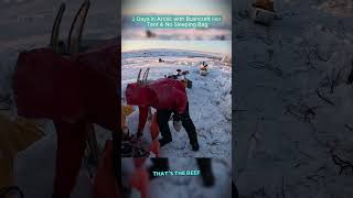 3 Days in Arctic with Bushcraft Hot Tent #outdoor #Outdoor #outdoorcooking  #camping #cook #survival