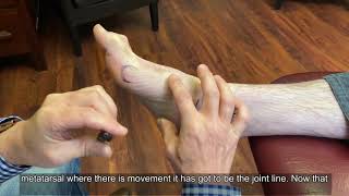Topographical Anatomy of the Foot and Ankle - Medial Aspect