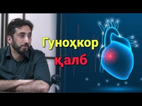 Гуноҳкор қалб | Нўмон Али Хон