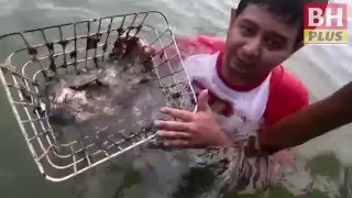 Menyelam 6 meter cari tiram terbaik