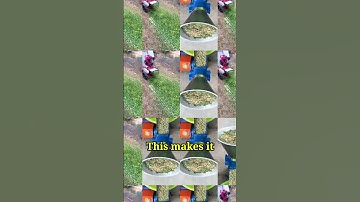 Amazing Straw Chopping Machine | Turns Straw into Energy & Animal Feed