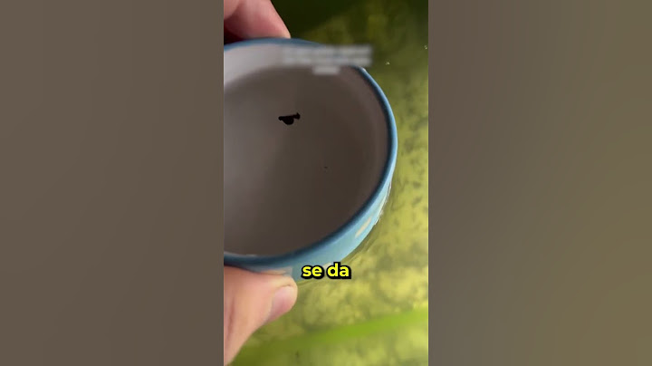 Ha Construido un Ejército de Ranas Gigantes 🐸 #curiosidades #animales #animals #naturaleza