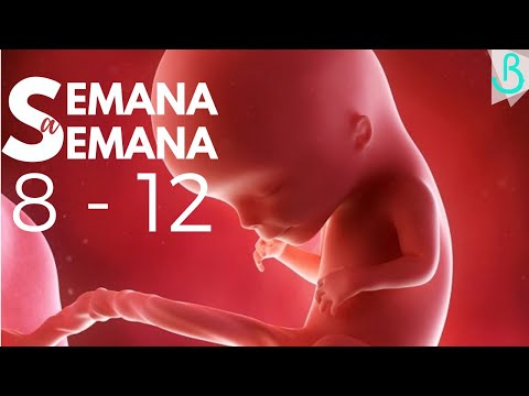 Video: Cómo Se Ven Los Bebés A Los Tres Meses