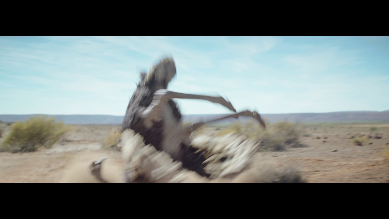 Samsung Official TVC: Ostrich