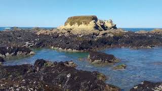 フォートブラッグの土　Fort Bragg Otsuchi: Fort Bragg has not forgotten her sister city – Fort