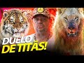 QUANDO UM LEÃO ENCONTRA UM TIGRE, QUAL O MAIS PODEROSO? | RICHARD RASMUSSEN