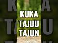 KUKA? #edit #suomi #shorts