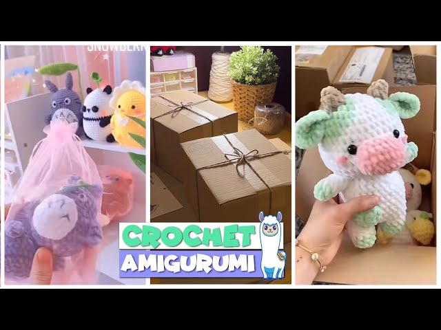 Crochet Plushie Mystery Bag Stuffed Kawaii Animal, Aesthetic, Gacha,  Trendy, Cute Plushies, Lucky Box, Random Surprise Pack, Tik Tok Viral 