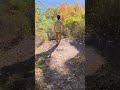 #travel #viral #japan #mountains #her #mtfuji #fuji #explore #wanderlust #viralvideo #bestmoments