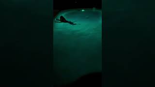 Bryce doing some night swimming in Lake Havasu