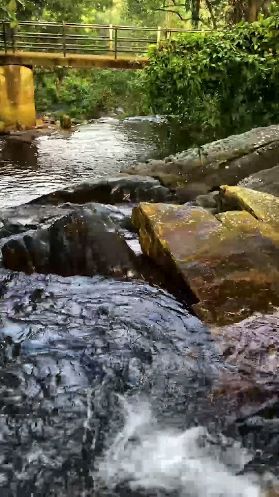 Miracle Relaxing Music for Deep Sleep, Stress Relief Music, Music for Sleep