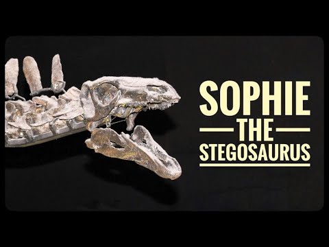 The Bone Wars and a Stegosaurus In London: The London History Show