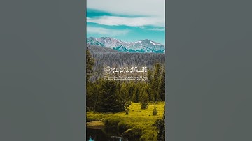 {وَإِنَّ يُونُسَ لَمِنَ الْمُرْسَلِينَ} الآية:(139)|سورة الصافات ✨💛