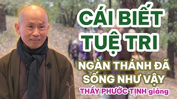 LEVEN MET WIJSHEID EN KENNIS, DUIZENDEN HEILIGEN LEEFDEN ZO | Meester Thich Phuoc Tinh