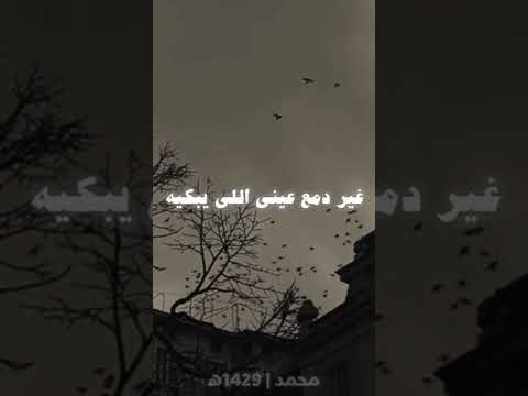 وجه اليوم الي اشوفك فيه واقف مكسور بتندهلي  اكسبلور