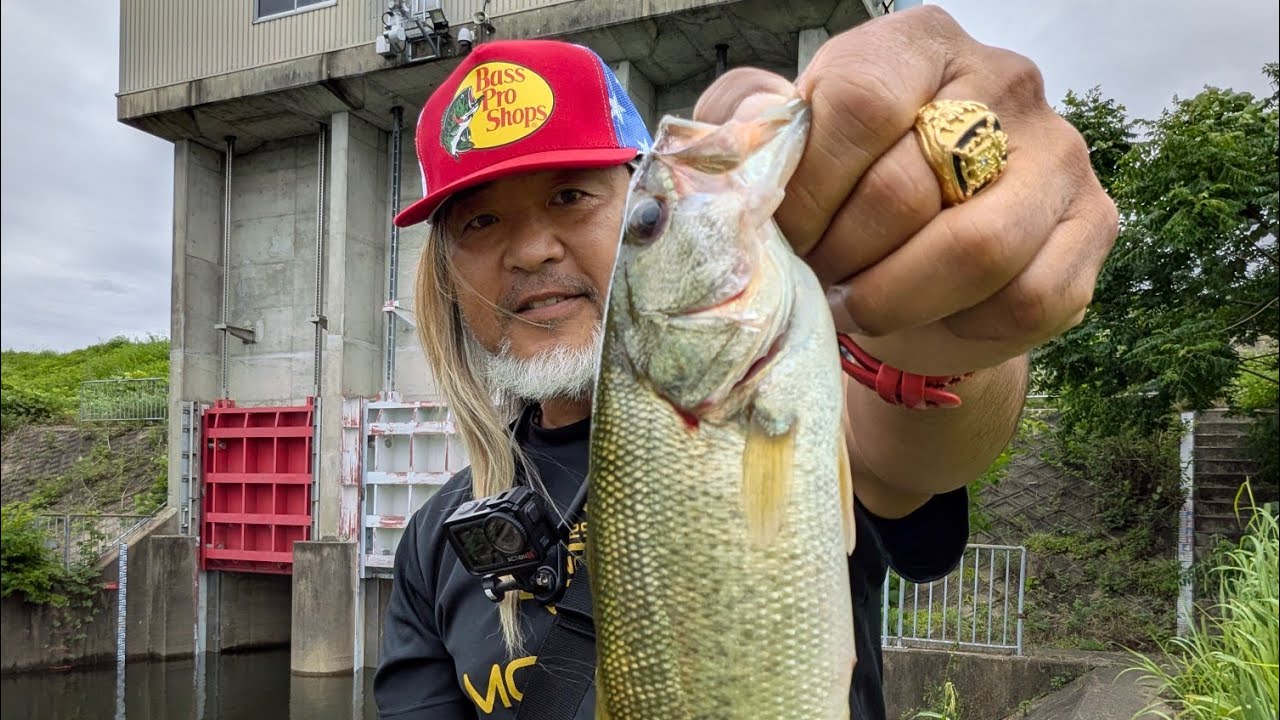 2026.7.7宇治川ブラックバス釣り！momo29釣り倶楽部 がライブ配信中