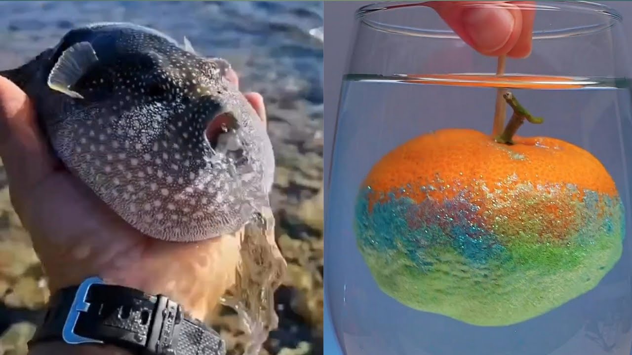 Satisfying Enjoy and Relaxing Compilation in Tik Tok ||Best oddly ...