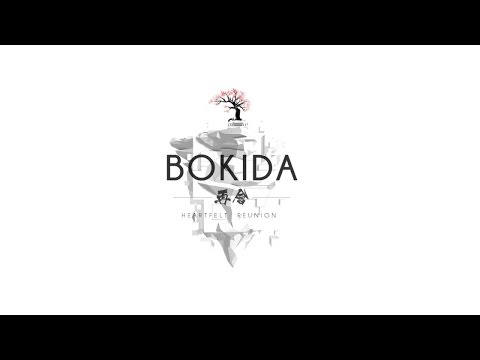 Vídeo: Explorando O Mundo Lúdico De Bokida