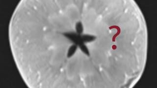 Quality Medical Imaging in Milwaukee