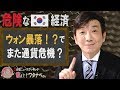 【教えて！ワタナベさん】韓国経済、輸出激減でウォン暴落！？日本はまた助けるの？[桜R1/5/18]