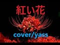 紅い花(五木ひろしver.)  by yass