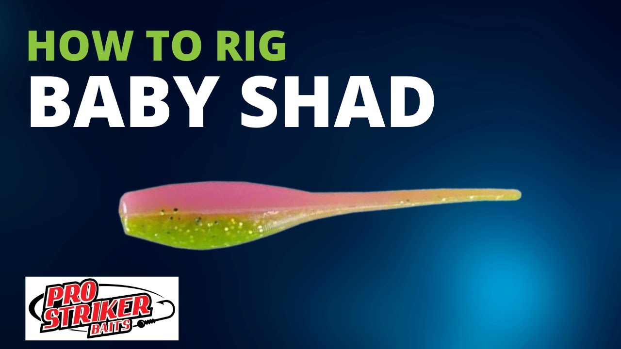 How To Rig the Pro Striker Baby Shad by Jack Uxa and Tackle HD 