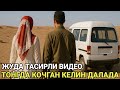 КОЧГАН КЕЛИНЧАК ДАЛАДА КУШНИСИ ВИДЕО