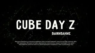 YD. Cube DayZ. Особое мнение¯\_(ツ)_/¯