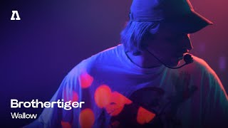 Brothertiger - Wallow | Audiotree Live