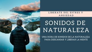 Musica relajante de naturaleza para dormir sonidos de la naturaleza