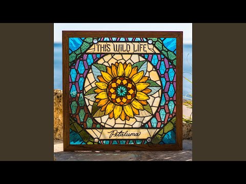 Hold You Here - This Wild Life