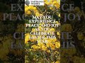 Rising with Joy: Easter's Heartfelt Promise
