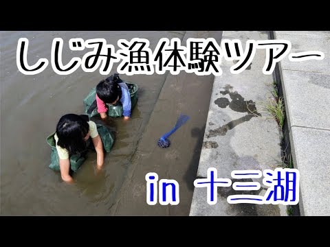 十三湖しじみ漁体験！しじみがトゥルルって！