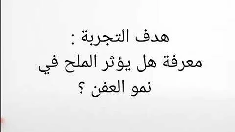 الخبز تجربة عفن عفن الخبز