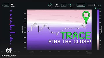 TRACE S&P 500 Heatmap Pins The Close Following Massive Down Day | SpotGamma