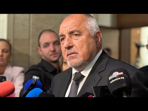 Борисов: Изкълчих си пръста и гласувах за Радостин Василев да е зам.-председател на НС