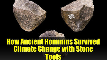 How Ancient Hominins Survived Climate Change with Stone Tools | 10,000 Generations of Resilience