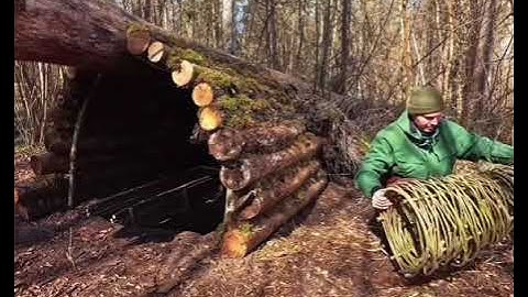 SINH TỒN MỘT MÌNH TRONG KHU RỪNG LẠNH -10 ĐỘ C