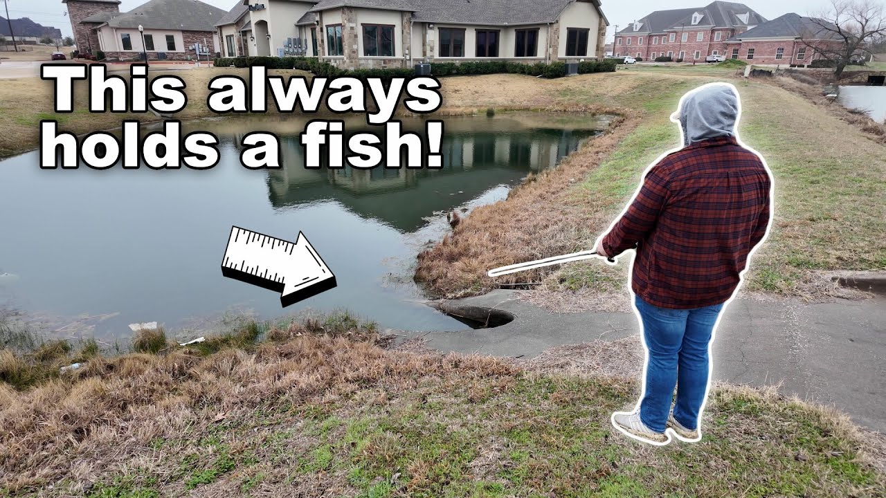 Winter Bass Fishing in Urban Ponds | Fishing in Dallas-Fort Worth (Cold & Wet February Fishing!)