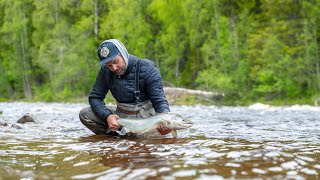 Fly fishing for salmon north of Sweden