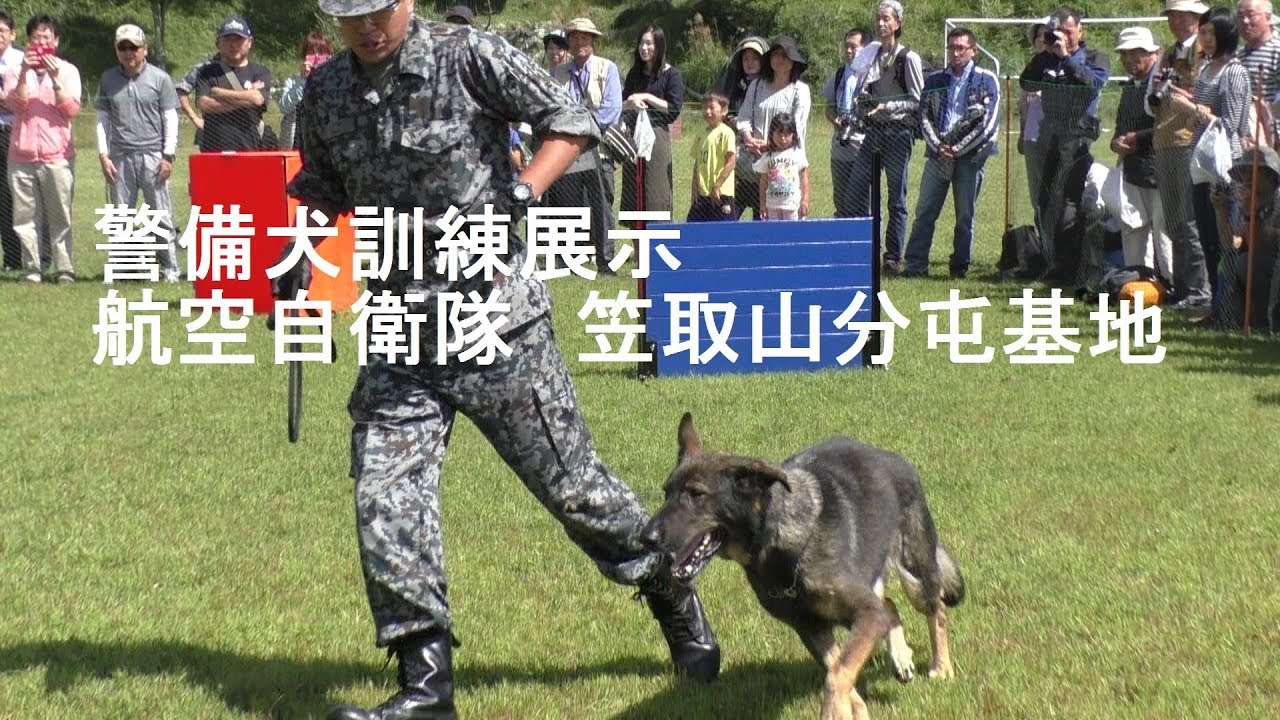 Super Duper Awesome 21 17 Mb 警備犬訓練展示 航空自衛隊 笠取山分屯基地 Mp3 Fastest Downlad This 15 25 Minutes Mp3